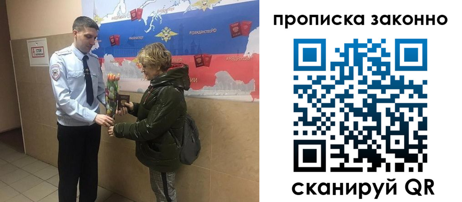 где прописаться в Дятьково
